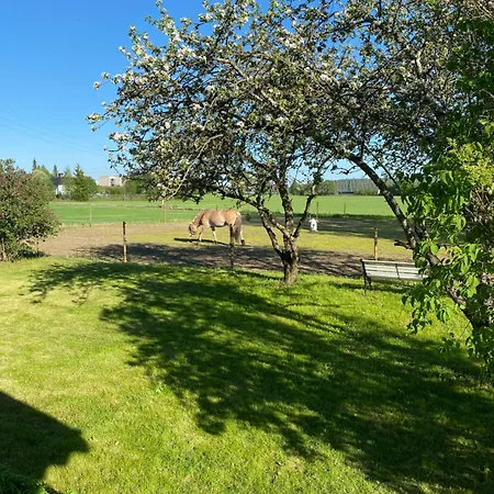 Vakantiehuis Sundby Fjordhestgard Garder