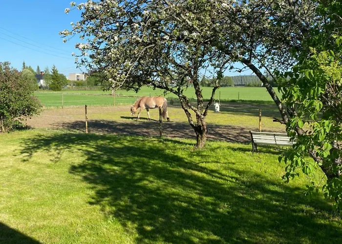 Vakantiehuis Sundby Fjordhestgard Garder
